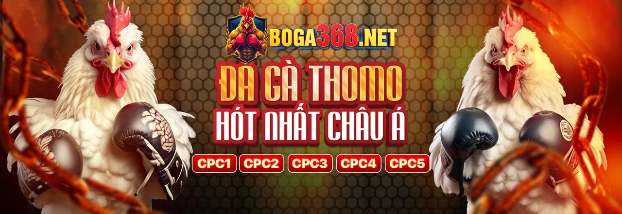 Đá gà trực tuyến kk98 - Sân chơi đẳng cấp